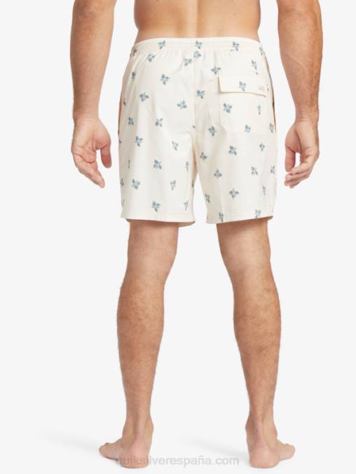 pedales pequeños blancos antiguos v pedales pequeños waterman 17 voleas D6T4D397 hombres Quiksilver
