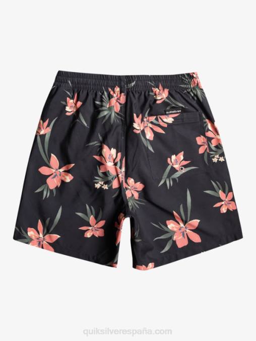 pista mezcla todos los días 17 voleas D6T4D1208 hombres Quiksilver