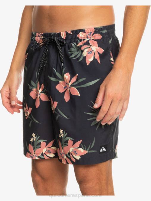 pista mezcla todos los días 17 voleas D6T4D1208 hombres Quiksilver