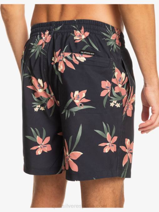 pista mezcla todos los días 17 voleas D6T4D1208 hombres Quiksilver