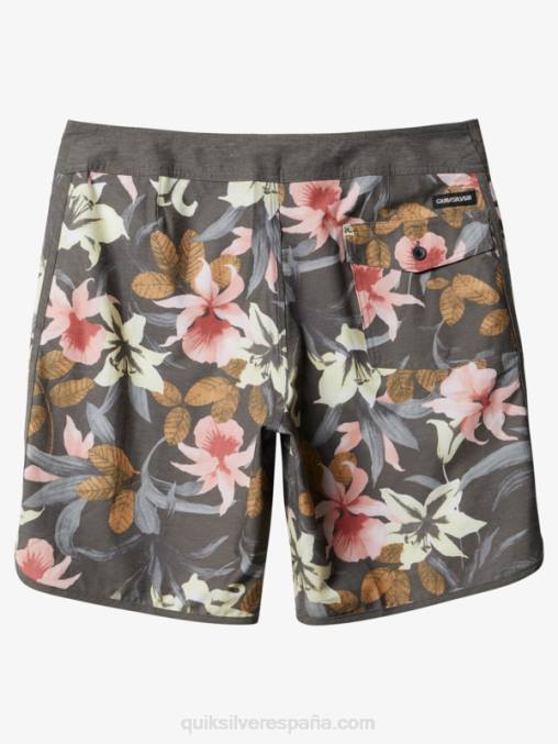 pista shorts de playa cáñamo elástico festoneado 19 D6T4D1740 hombres Quiksilver