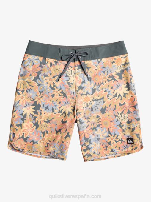 pizarra oscura shorts de playa surfsilk festoneado 19 D6T4D219 hombres Quiksilver