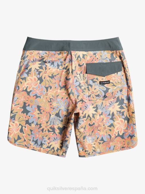 pizarra oscura shorts de playa surfsilk festoneado 19 D6T4D219 hombres Quiksilver