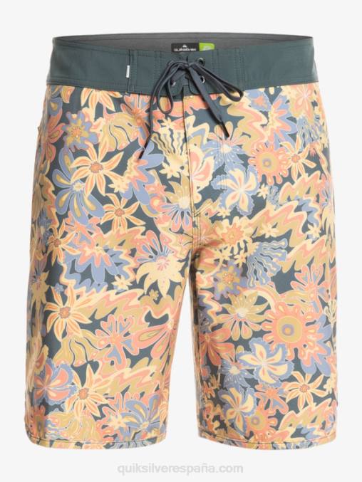 pizarra oscura shorts de playa surfsilk festoneado 19 D6T4D219 hombres Quiksilver