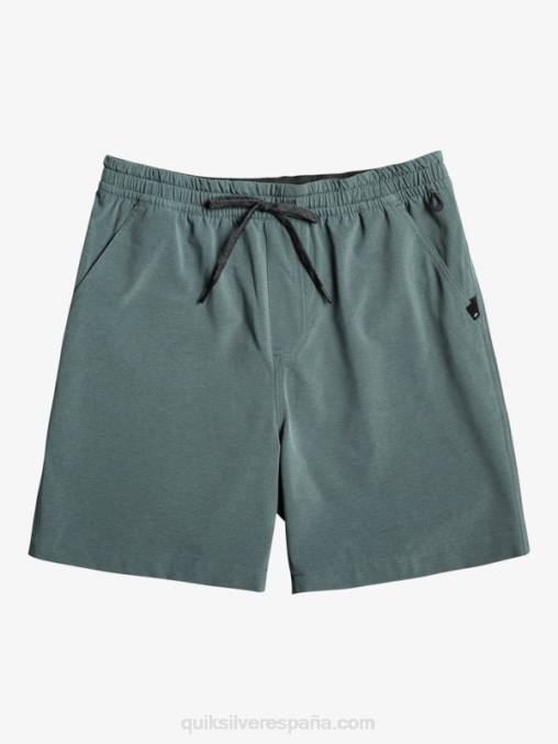 pizarra oscura taxer heather 18 bañadores anfibios D6T4D305 hombres Quiksilver