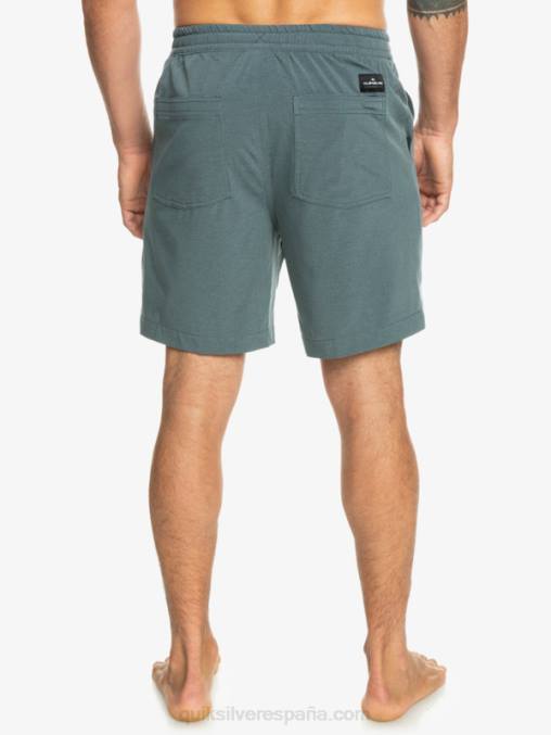 pizarra oscura taxer heather 18 bañadores anfibios D6T4D305 hombres Quiksilver