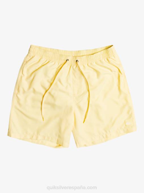 plátano pálido todos los días 17 voleas D6T4D628 hombres Quiksilver