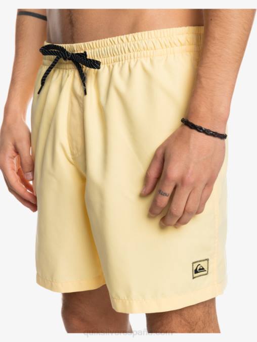 plátano pálido todos los días 17 voleas D6T4D628 hombres Quiksilver