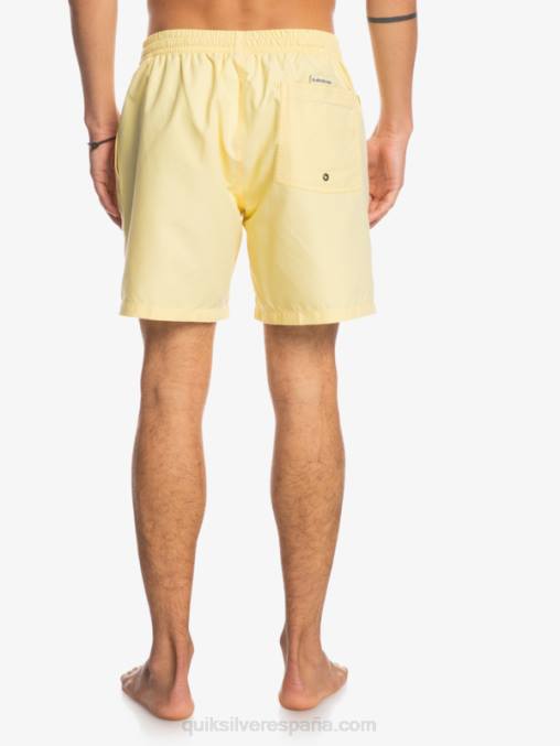 plátano pálido todos los días 17 voleas D6T4D628 hombres Quiksilver
