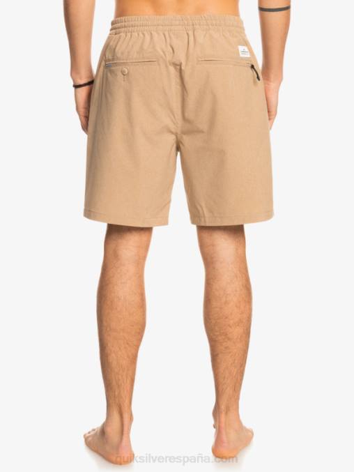 playa Pantalón corto híbrido anfibio 18 jaspeado elástico D6T4D1663 hombres Quiksilver