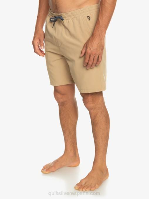 playa shorts elásticos ocean 18 anfibios D6T4D344 hombres Quiksilver