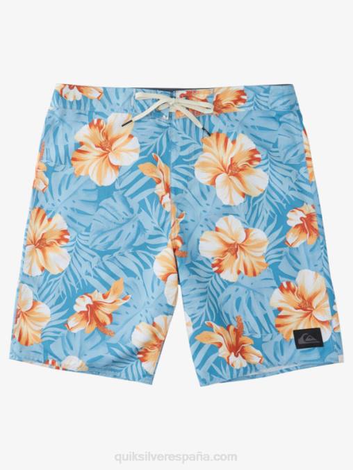 puerto marítimo d floral shorts de playa diarios clásicos florales 20 D6T4D1684 hombres Quiksilver