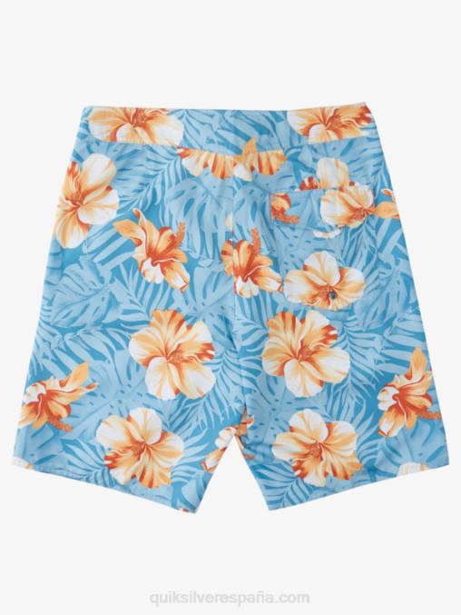 puerto marítimo d floral shorts de playa diarios clásicos florales 20 D6T4D1684 hombres Quiksilver