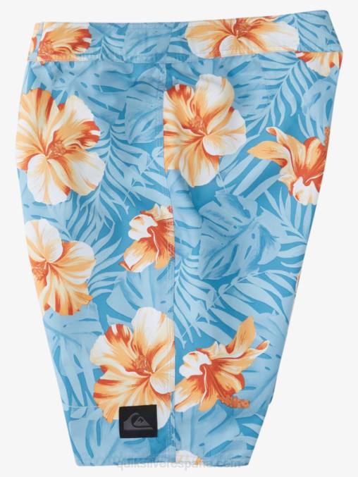puerto marítimo d floral shorts de playa diarios clásicos florales 20 D6T4D1684 hombres Quiksilver
