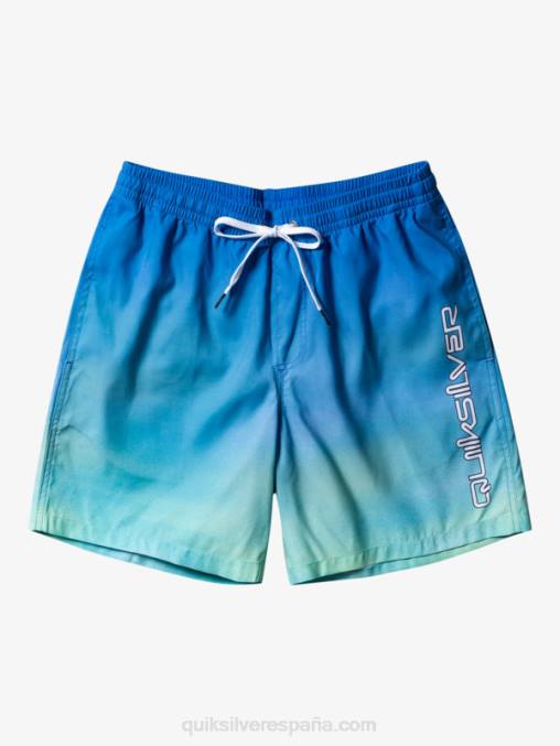 río azul brisa de todos los días 17 voleas D6T4D722 hombres Quiksilver