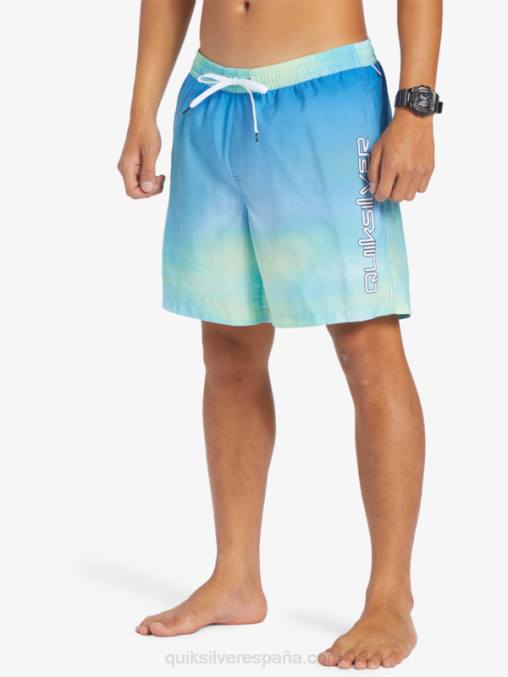 río azul brisa de todos los días 17 voleas D6T4D722 hombres Quiksilver
