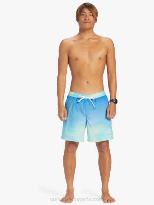 río azul brisa de todos los días 17 voleas D6T4D722 hombres Quiksilver