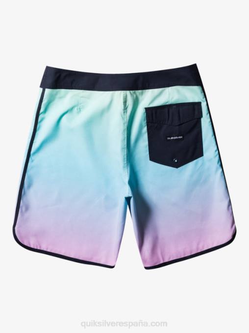 río azul shorts de baño todos los días festoneado 19 D6T4D766 hombres Quiksilver