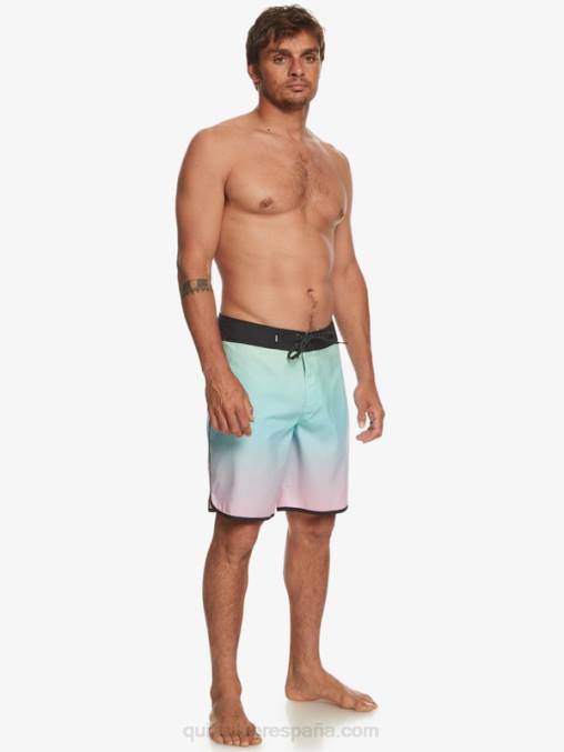 río azul shorts de baño todos los días festoneado 19 D6T4D766 hombres Quiksilver