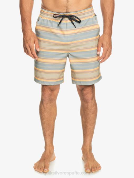 raya plaza taupe surf days shorts de playa con estampado de anfibios taxer 18 D6T4D104 hombres Quiksilver