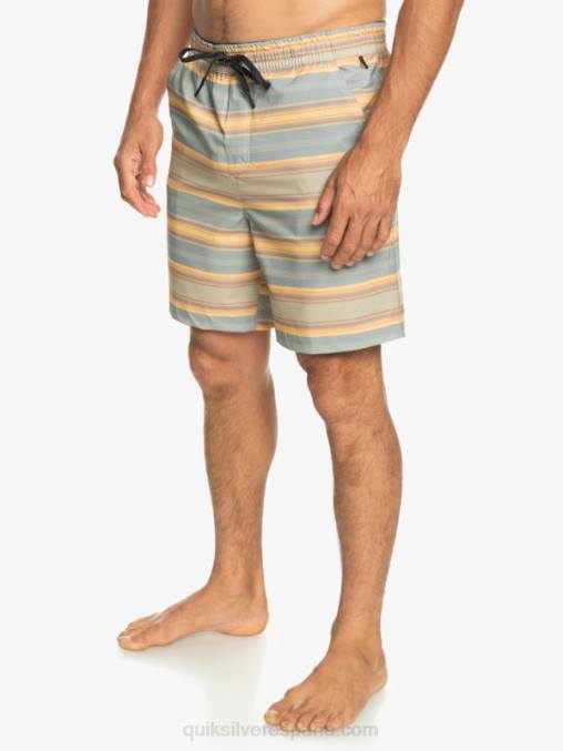 raya plaza taupe surf days shorts de playa con estampado de anfibios taxer 18 D6T4D104 hombres Quiksilver