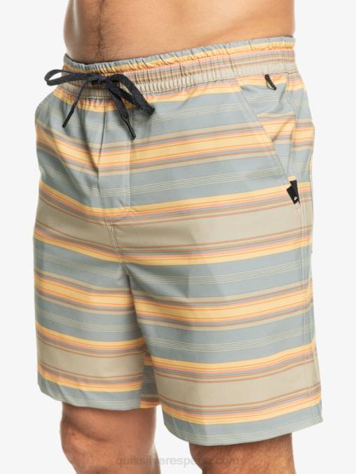 raya plaza taupe surf days shorts de playa con estampado de anfibios taxer 18 D6T4D104 hombres Quiksilver