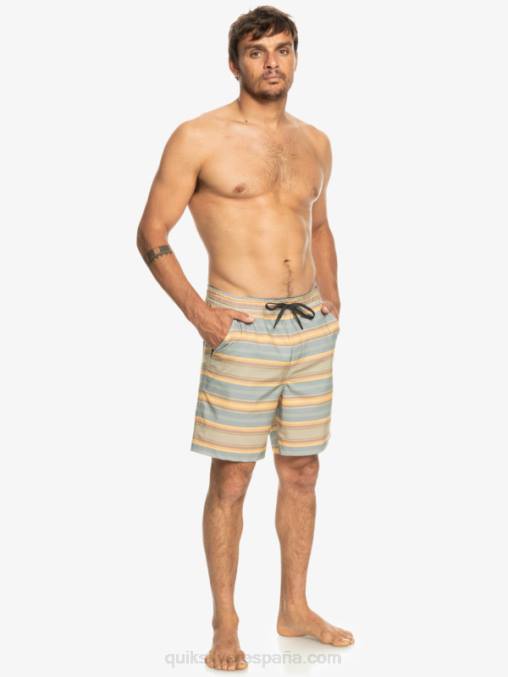 raya plaza taupe surf days shorts de playa con estampado de anfibios taxer 18 D6T4D104 hombres Quiksilver