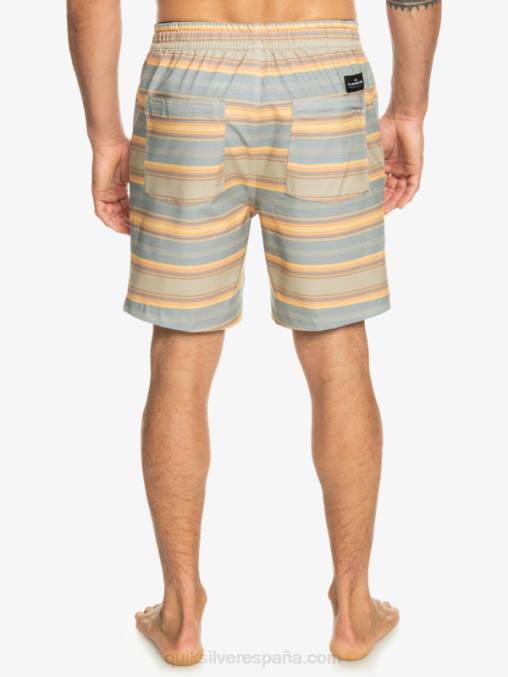 raya plaza taupe surf days shorts de playa con estampado de anfibios taxer 18 D6T4D104 hombres Quiksilver
