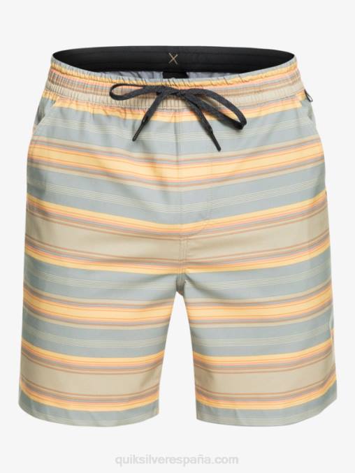 raya plaza taupe surf days shorts de playa con estampado de anfibios taxer 18 D6T4D104 hombres Quiksilver