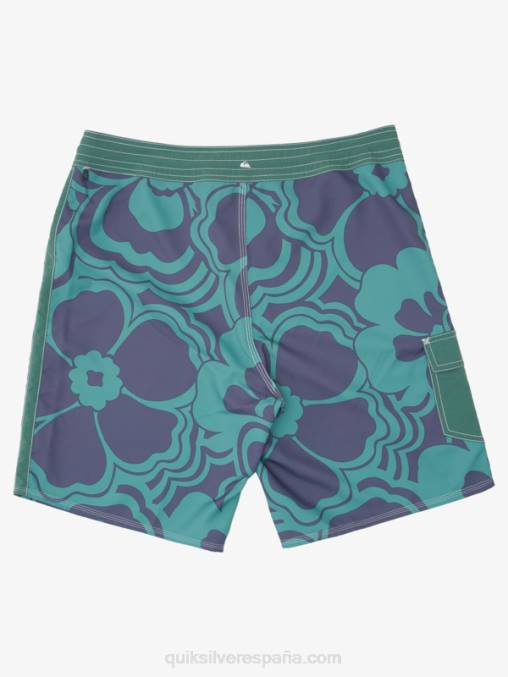 retroceso de pino de humo shorts de playa con estampado retro waterman 19 D6T4D1437 hombres Quiksilver