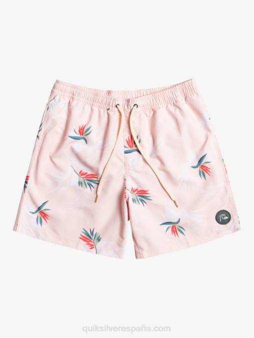 rosa velada mezcla todos los días 17 voleas D6T4D1467 hombres Quiksilver