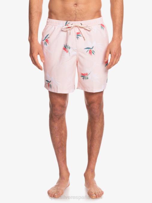 rosa velada mezcla todos los días 17 voleas D6T4D1467 hombres Quiksilver