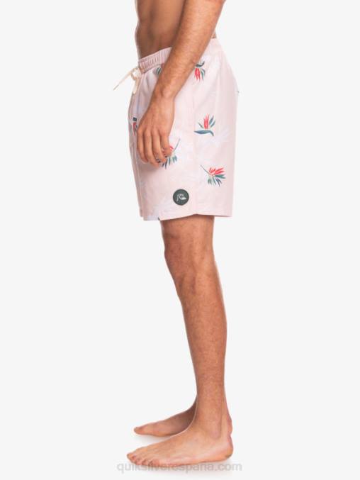 rosa velada mezcla todos los días 17 voleas D6T4D1467 hombres Quiksilver
