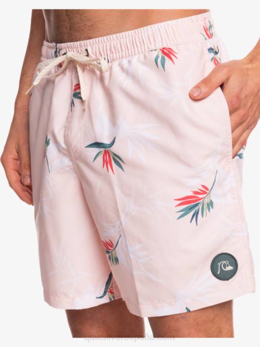 rosa velada mezcla todos los días 17 voleas D6T4D1467 hombres Quiksilver