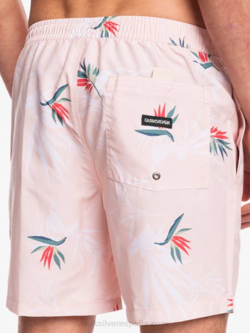 rosa velada mezcla todos los días 17 voleas D6T4D1467 hombres Quiksilver