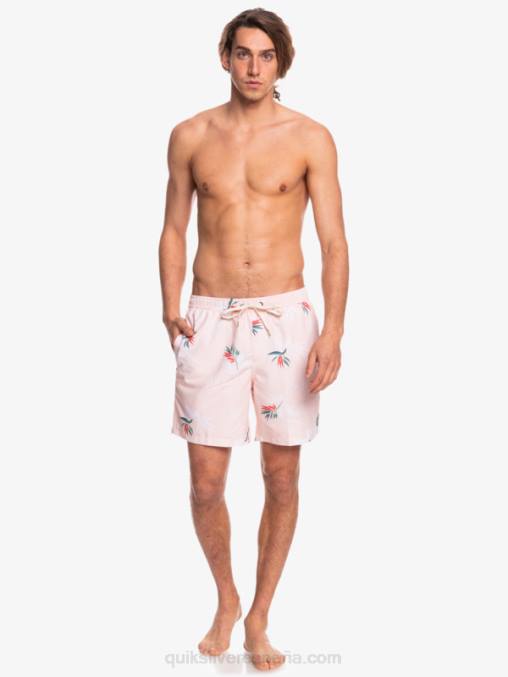 rosa velada mezcla todos los días 17 voleas D6T4D1467 hombres Quiksilver