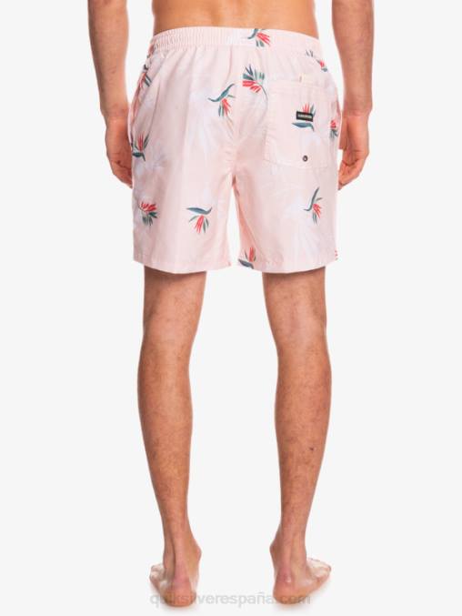 rosa velada mezcla todos los días 17 voleas D6T4D1467 hombres Quiksilver