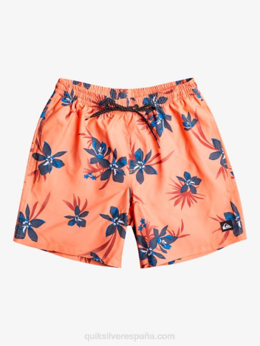 salmón fresco mezcla todos los días 17 voleas D6T4D1209 hombres Quiksilver