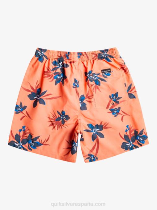 salmón fresco mezcla todos los días 17 voleas D6T4D1209 hombres Quiksilver