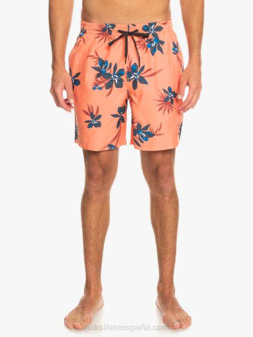 salmón fresco mezcla todos los días 17 voleas D6T4D1209 hombres Quiksilver