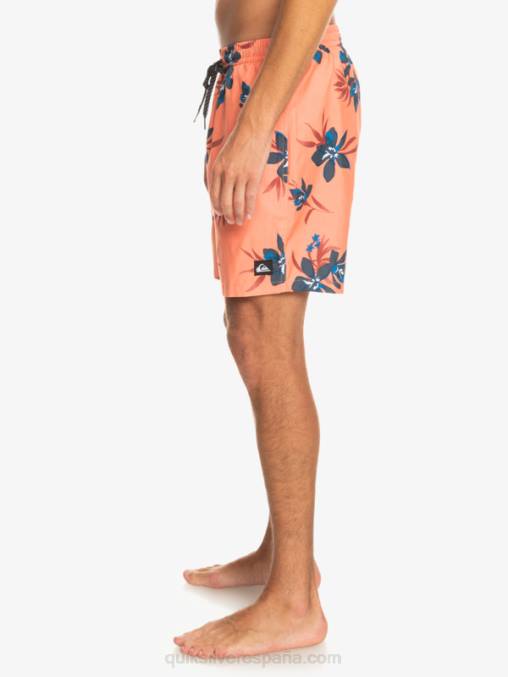salmón fresco mezcla todos los días 17 voleas D6T4D1209 hombres Quiksilver