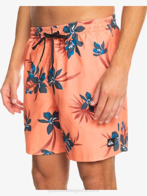 salmón fresco mezcla todos los días 17 voleas D6T4D1209 hombres Quiksilver