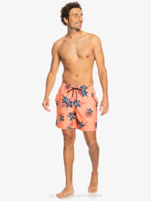 salmón fresco mezcla todos los días 17 voleas D6T4D1209 hombres Quiksilver
