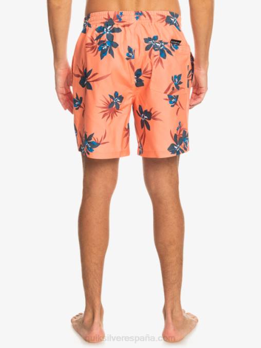 salmón fresco mezcla todos los días 17 voleas D6T4D1209 hombres Quiksilver