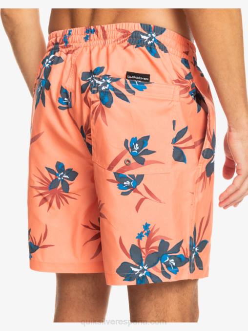 salmón fresco mezcla todos los días 17 voleas D6T4D1209 hombres Quiksilver