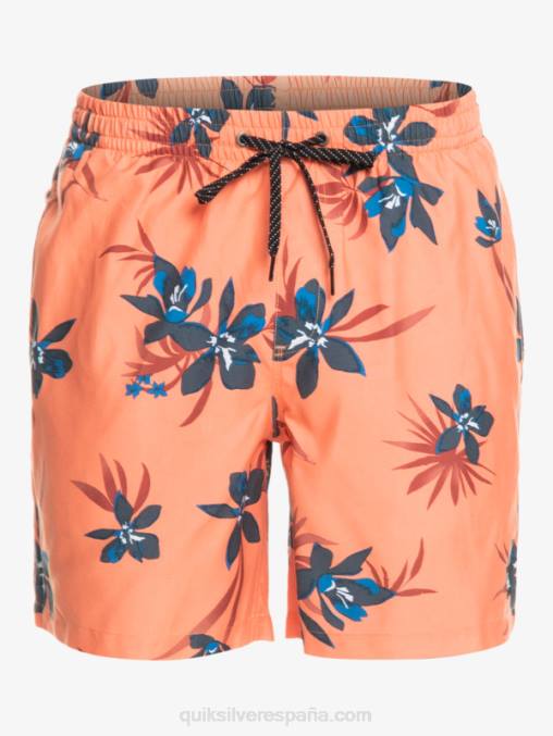 salmón fresco mezcla todos los días 17 voleas D6T4D1209 hombres Quiksilver