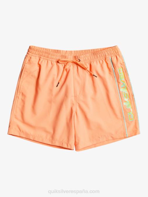 salmón fresco todos los días vert 16 voleas D6T4D703 hombres Quiksilver