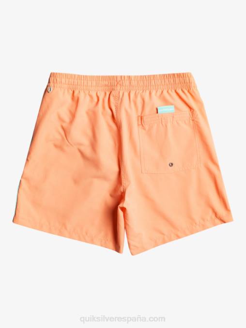 salmón fresco todos los días vert 16 voleas D6T4D703 hombres Quiksilver
