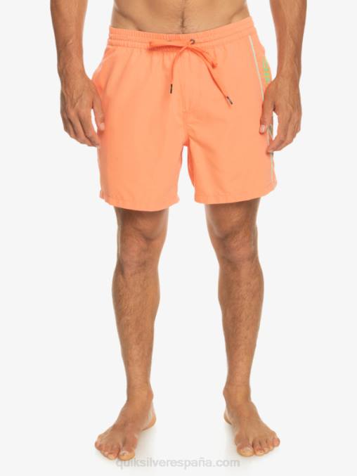 salmón fresco todos los días vert 16 voleas D6T4D703 hombres Quiksilver