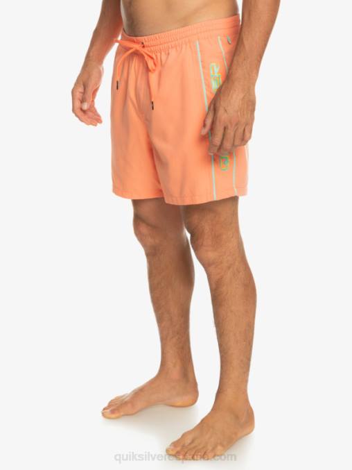 salmón fresco todos los días vert 16 voleas D6T4D703 hombres Quiksilver